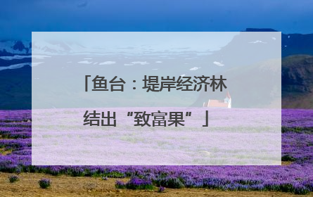 鱼台：堤岸经济林结出“致富果”