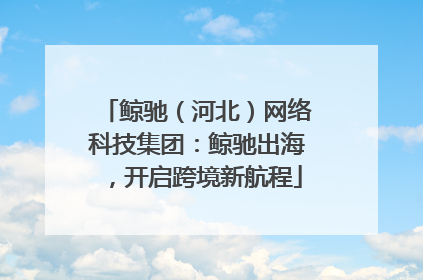 鲸驰（河北）网络科技集团：鲸驰出海，开启跨境新航程