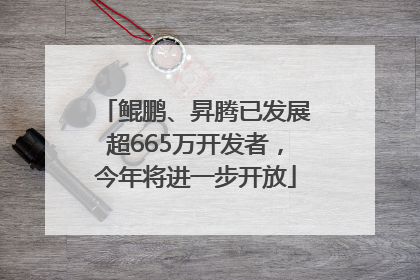 鲲鹏、昇腾已发展超665万开发者，今年将进一步开放