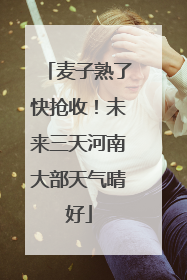麦子熟了快抢收！未来三天河南大部天气晴好