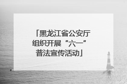 黑龙江省公安厅组织开展“六一”普法宣传活动