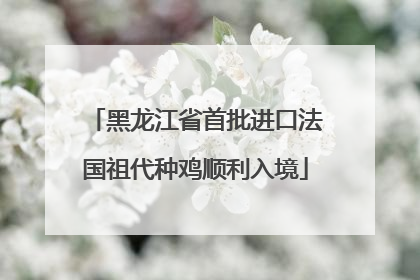 黑龙江省首批进口法国祖代种鸡顺利入境
