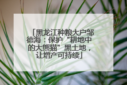 黑龙江种粮大户邹德海：保护“耕地中的大熊猫”黑土地，让增产可持续