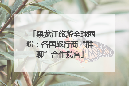黑龙江旅游全球圈粉：各国旅行商“群聊”合作揽客