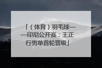 （体育）羽毛球——印尼公开赛：王正行男单首轮晋级