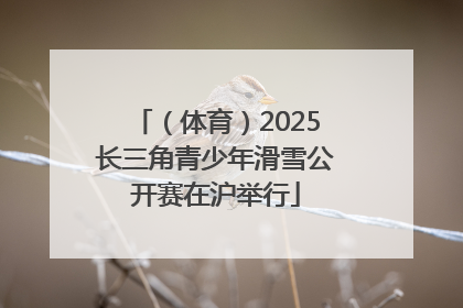 （体育）2025长三角青少年滑雪公开赛在沪举行