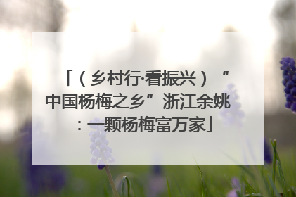 （乡村行·看振兴）“中国杨梅之乡”浙江余姚：一颗杨梅富万家