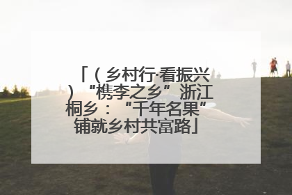 （乡村行·看振兴）“槜李之乡”浙江桐乡：“千年名果”铺就乡村共富路