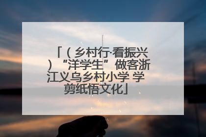 （乡村行·看振兴）“洋学生”做客浙江义乌乡村小学 学剪纸悟文化
