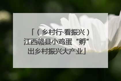 （乡村行·看振兴）江西赣县小鸡蛋“孵”出乡村振兴大产业