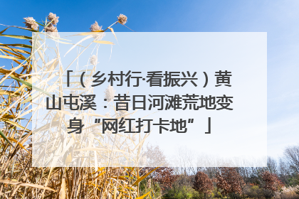 （乡村行·看振兴）黄山屯溪：昔日河滩荒地变身“网红打卡地”