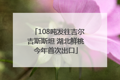 108吨发往吉尔吉斯斯坦 湖北鲜桃今年首次出口
