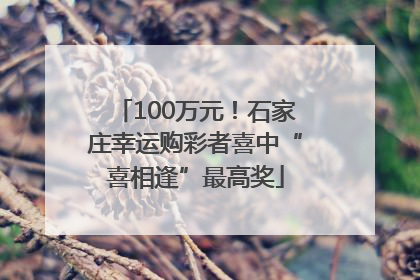 100万元！石家庄幸运购彩者喜中“喜相逢”最高奖