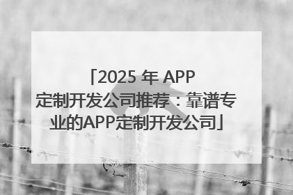 2025 年 APP 定制开发公司推荐：靠谱专业的APP定制开发公司