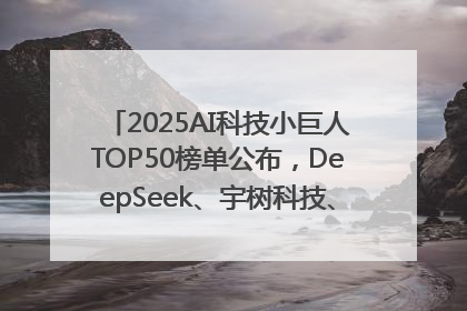 2025AI科技小巨人TOP50榜单公布，DeepSeek、宇树科技、蘑菇车联等企业荣誉上榜