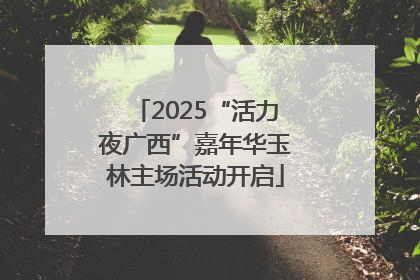 2025“活力夜广西”嘉年华玉林主场活动开启