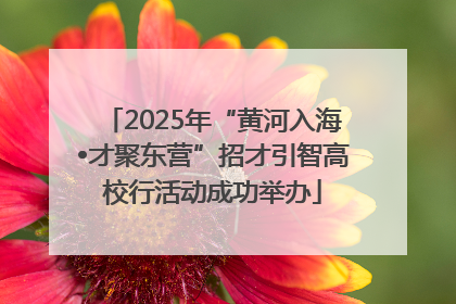 2025年“黄河入海•才聚东营”招才引智高校行活动成功举办