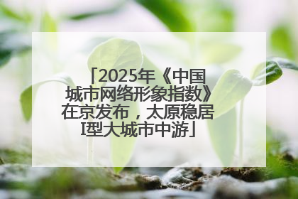 2025年《中国城市网络形象指数》在京发布，太原稳居I型大城市中游