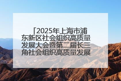2025年上海市浦东新区社会组织高质量发展大会暨第二届长三角社会组织高质量发展峰会成功举办