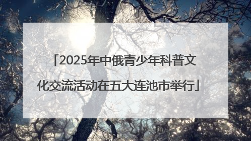 2025年中俄青少年科普文化交流活动在五大连池市举行
