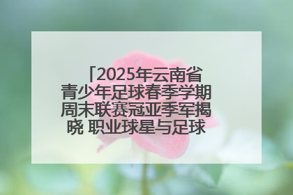 2025年云南省青少年足球春季学期周末联赛冠亚季军揭晓 职业球星与足球小将共享荣耀时刻