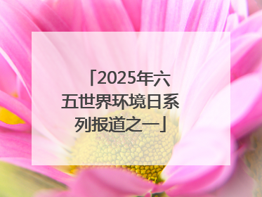 2025年六五世界环境日系列报道之一