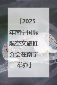 2025年南宁国际航空文旅推介会在南宁举办
