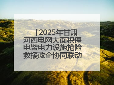2025年甘肃河西电网大面积停电暨电力设施抢险救援政企协同联动综合应急演练在武威成功举行