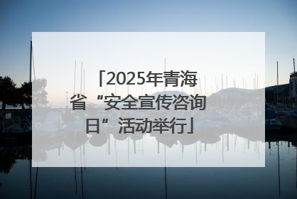 2025年青海省“安全宣传咨询日”活动举行