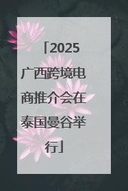 2025广西跨境电商推介会在泰国曼谷举行