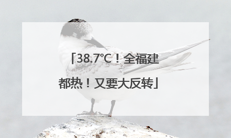 38.7℃！全福建都热！又要大反转