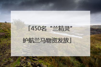 450名“兰精灵”护航兰马物资发放