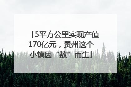 5平方公里实现产值170亿元，贵州这个小镇因“数”而生