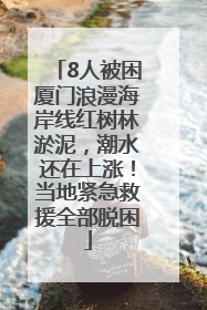 8人被困厦门浪漫海岸线红树林淤泥，潮水还在上涨！当地紧急救援全部脱困