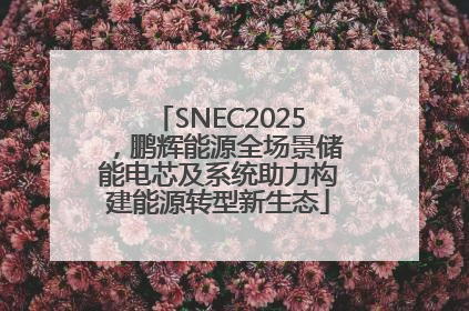 SNEC2025，鹏辉能源全场景储能电芯及系统助力构建能源转型新生态